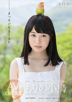 AV debut もりの小鳥